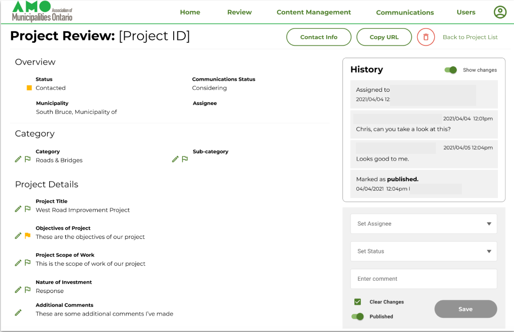 Project Review Interface